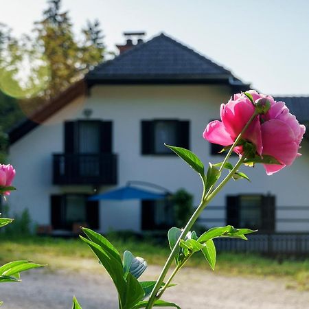 Apartments Zakrasnik Škofja Loka Екстериор снимка