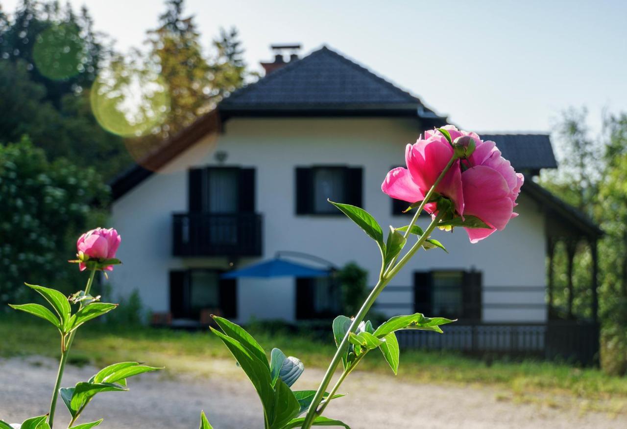 Apartments Zakrasnik Škofja Loka Екстериор снимка