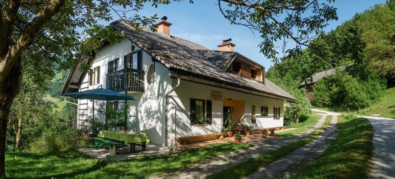 Apartments Zakrasnik Škofja Loka Екстериор снимка