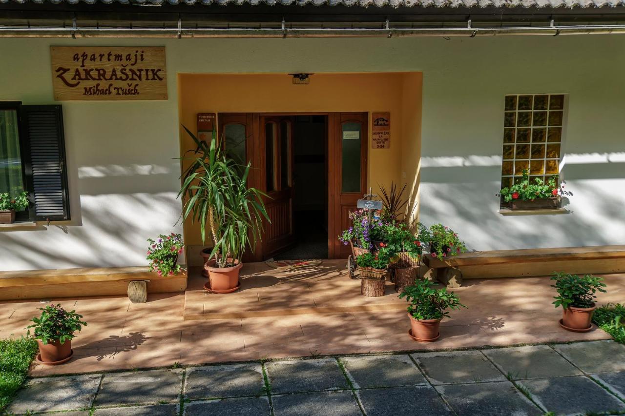 Apartments Zakrasnik Škofja Loka Екстериор снимка